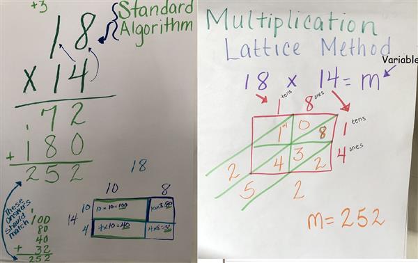 Standard, Box, Lattice